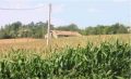 unconverted barn for sale in Lot et Garonne, France