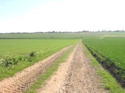Diss Barn For Sale