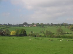 Views From Unconverted Barn Colchester Essex