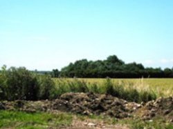 Barn For Conversion Thorney Cambs