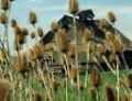 UK barn for sale