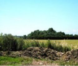 Southern Views From Barn