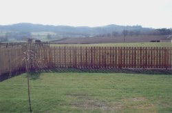 Character Property in South Scotland