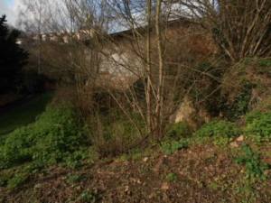 Unconverted Barns In Limousin For Sale