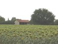 Barn For Conversion in Midi Pyrenees France