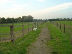 Barn For Conversion With Stables For Sale Berkshire