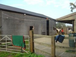 Berkshire Unconverted Barn With Stables And Land For Sale