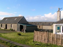 Thurso Unconverted Barns 