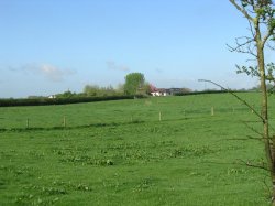 Unconverted Stable With Planning Permission In Scotland