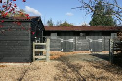 Barn Conversion With Land And Stables