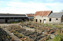 Barns With Planning Permission Devon