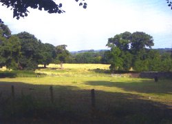 Converted Barns In The West Midlands With Land For Sale