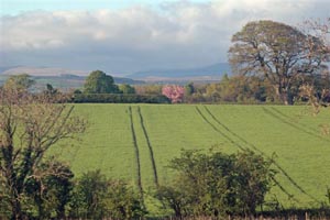Barn Conversions For Sale In The North West Of England