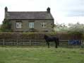 Smallholding With Farmhouse Barns And Land Yorkshire