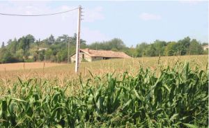 Unconverted barn near Bergerac, Lot et Garonne, France