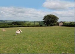 Property for sale in Burrington, near Umberleigh