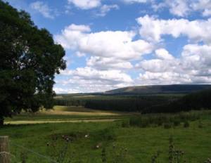 Property for sale in Roxburghshire, Scottish Borders