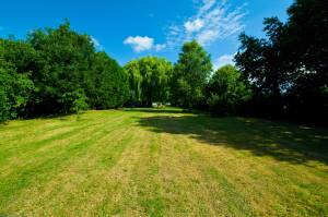 Property for sale in Essex