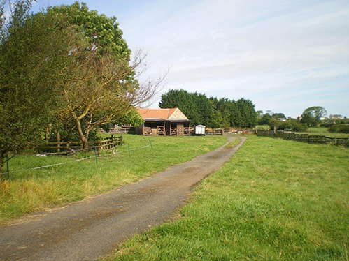 Unconverted barn with 10 acres of land near Barnard Castle, Teesdale