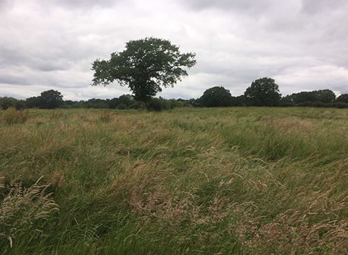 Development Opportunity Kent