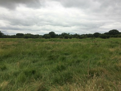 Development Opportunity Headcorn
