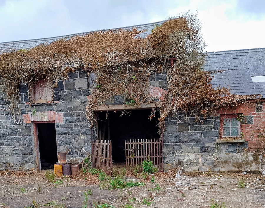 Property for sale in Coleraine