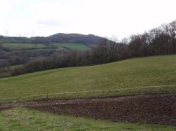 Property for sale in South Wales