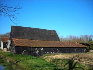 Unconverted barns in Norwich, Norfolk