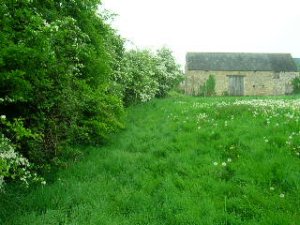 Unconverted barns in Domfront, Normandy, France