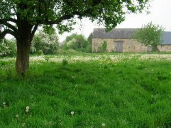 Property for sale in Domfront, Normandy