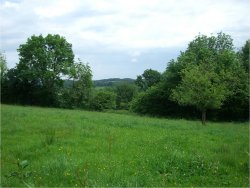 Unconverted barn with planning permission in the Limousin region of France