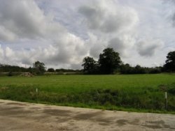 Property for sale in Essex