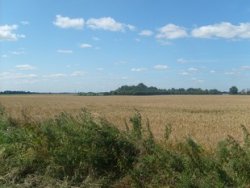 Property for sale in Cambridgeshire