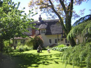 Cottage and converted barn in Finningham, Suffolk