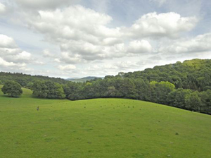 Property for sale in Shropshire