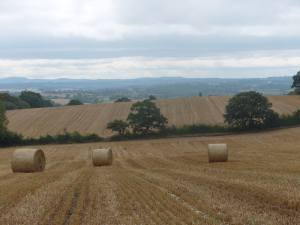 Property for sale in Herefordshire
